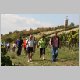 Wandern19-Abstieg ins Zellertal.jpg